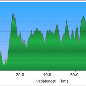 BoBoloppet_profil