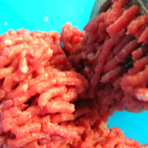 DSCN7905.JPG